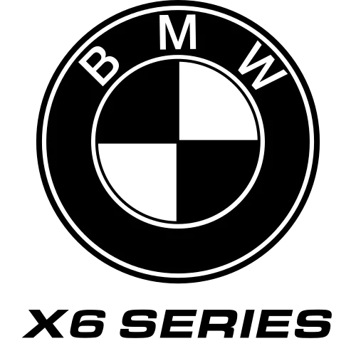 BMW X6 Series Grille Stripes