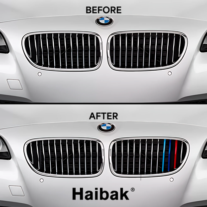 BMW 5 Series 2010 - 2016 12 Beams Front Grille Tri Colour Insert Stripes